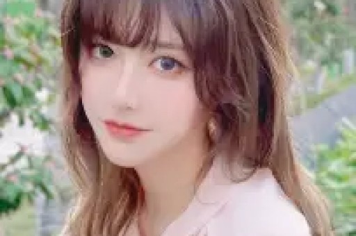 粉丝博主